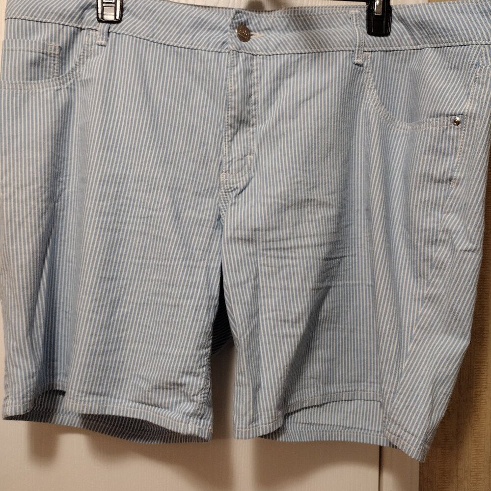 Ladies plus size shorts